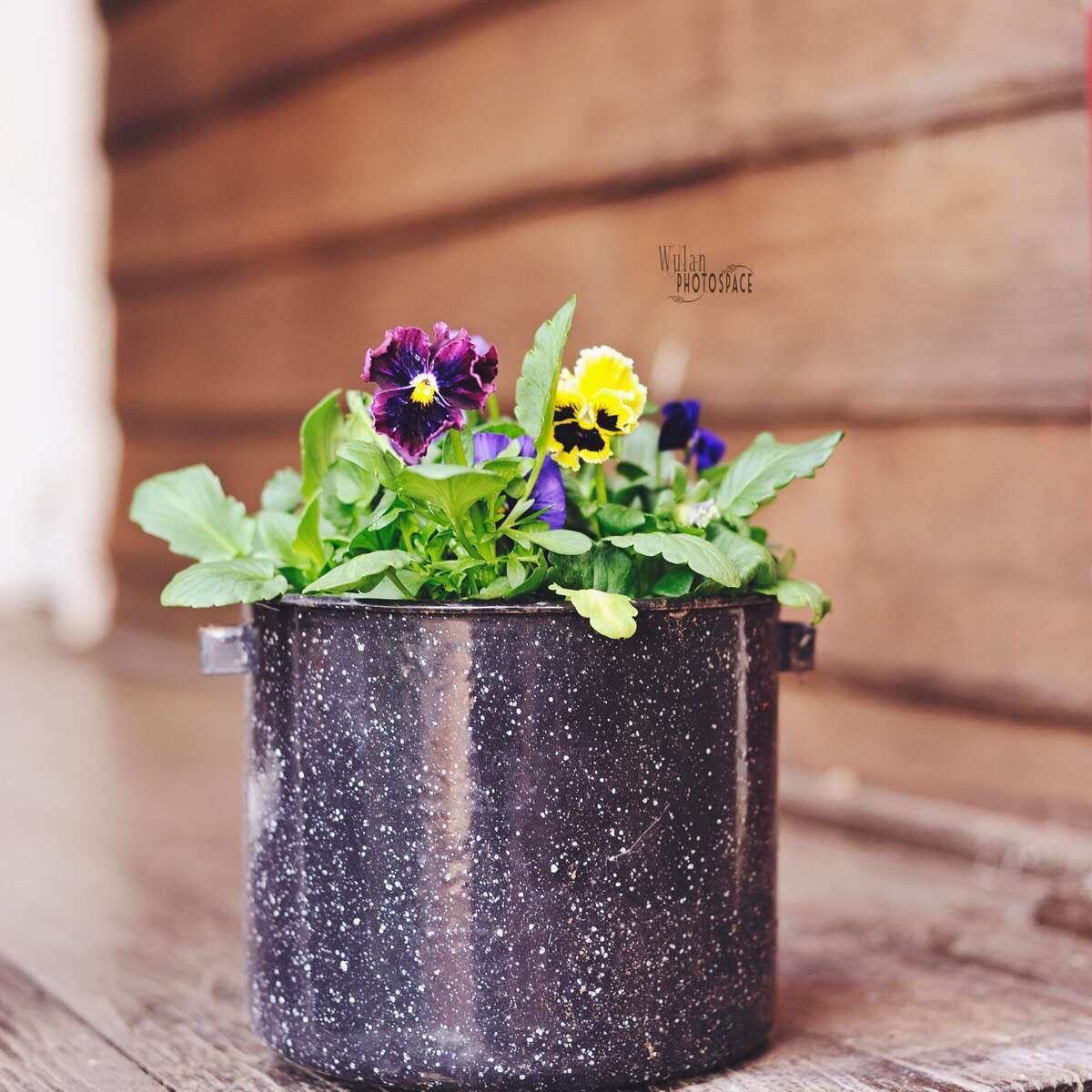 Quellington WA C Tourism