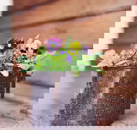 The York Mill - C Tourism