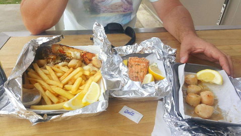 Fish Factory - C Tourism 0