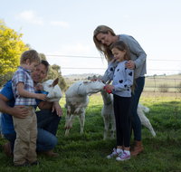 Sunhill Dairy Goats and Sunhill Skin Essentials
