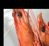 The Prawn Shack