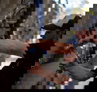 Wild Hop Brewing Company - C Tourism