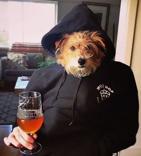 Wild Hop Brewing Company - C Tourism 1