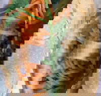 WOW Banh Mi - C Tourism