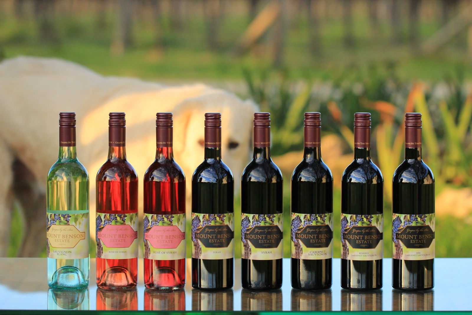 Sandy Grove SA C Tourism