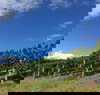 Freycinet Vineyard - C Tourism