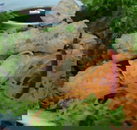 Green Bamboo - C Tourism