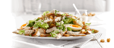 Sumo Salad - Morley - C Tourism 0