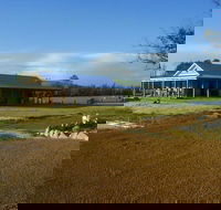 Thomson Brook Wines - C Tourism