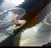 Cafe Marina and Pizzaria - C Tourism