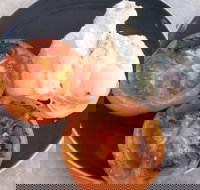 The Deck Poolside Bar  Restaurant - C Tourism