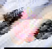 Granitevale Winery - C Tourism