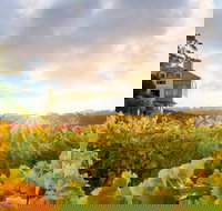 Hahndorf Hill Winery - C Tourism