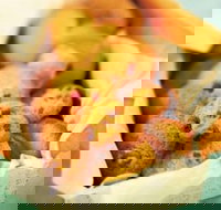 Mrs. Fields - Taylors Lakes - C Tourism