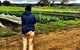 Torello Farm - thumb 2