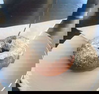 Alberto's Shot Espresso Bar - C Tourism