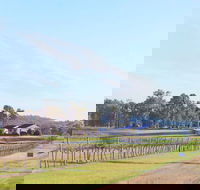 Blacklea Vineyard and Olive Grove - C Tourism