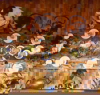 The Dark Horse - C Tourism