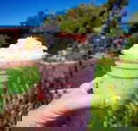 Flower Cellar Door and Cafe - C Tourism