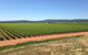 Melange Wines - thumb 0