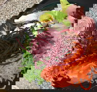 Cafe Rhubaba - C Tourism