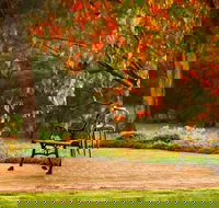 Deep Woods Estate - C Tourism