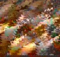 Flames Charcoal Chicken - C Tourism