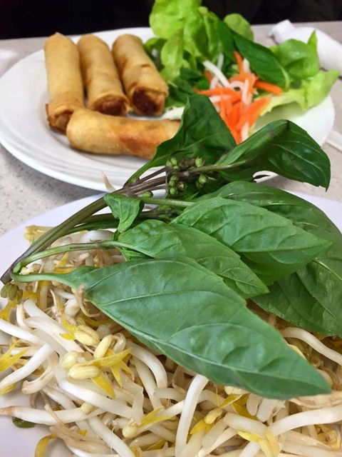 PHO 234 - C Tourism 0