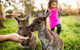 Woodstock Coterie Estate - thumb 16