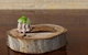Woodstock Coterie Estate - thumb 8