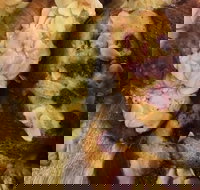 Silky Oak Espresso - C Tourism