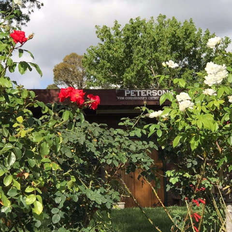 Petersons Wines - C Tourism 1