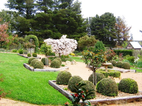 The Scented Rose Garden And Teahouse - C Tourism 2