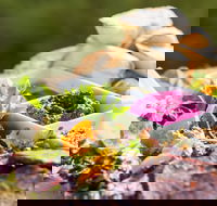 Australian Arid Lands Botanic Garden - Bluebush Cafe - C Tourism