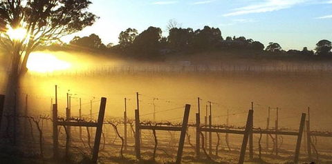 Nicholson River Winery And Barrel Room Restaurant - C Tourism 1