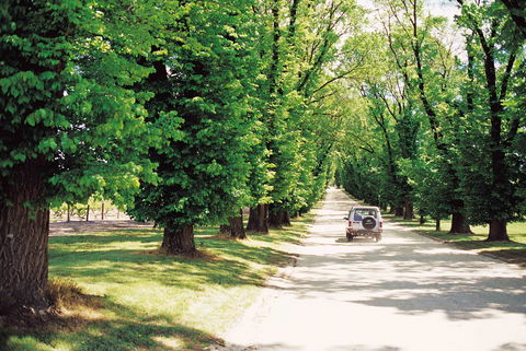 All Saints Estate - C Tourism 1