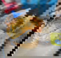 Black Duck Gourmet Pantry - C Tourism