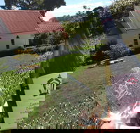 Leaning Church Vineyard - C Tourism