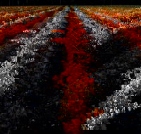 Sandhurst Ridge - C Tourism