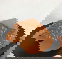 The Usual Joint - C Tourism