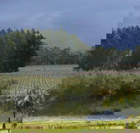 The Alchemist - C Tourism