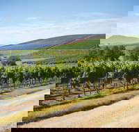 Jansz Tasmania - C Tourism