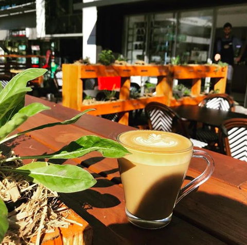 Apothecafe - C Tourism 0