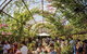 The Grounds Of Alexandria - thumb 2