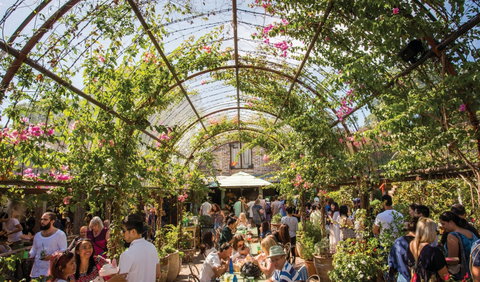 The Grounds Of Alexandria - C Tourism 2