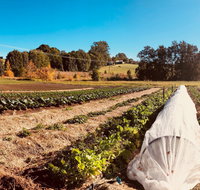 Synchronicity Farm - C Tourism