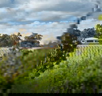 Victory Point Wines - C Tourism