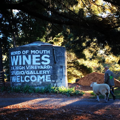 Word Of Mouth Wines - C Tourism 1