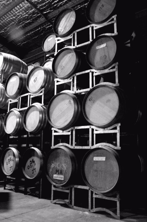 Tertini Wines - C Tourism 1