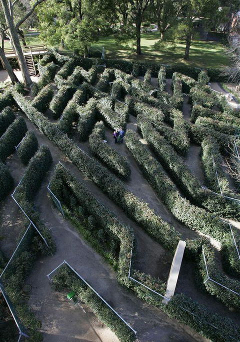 Bluebush Cafe - C Tourism 11